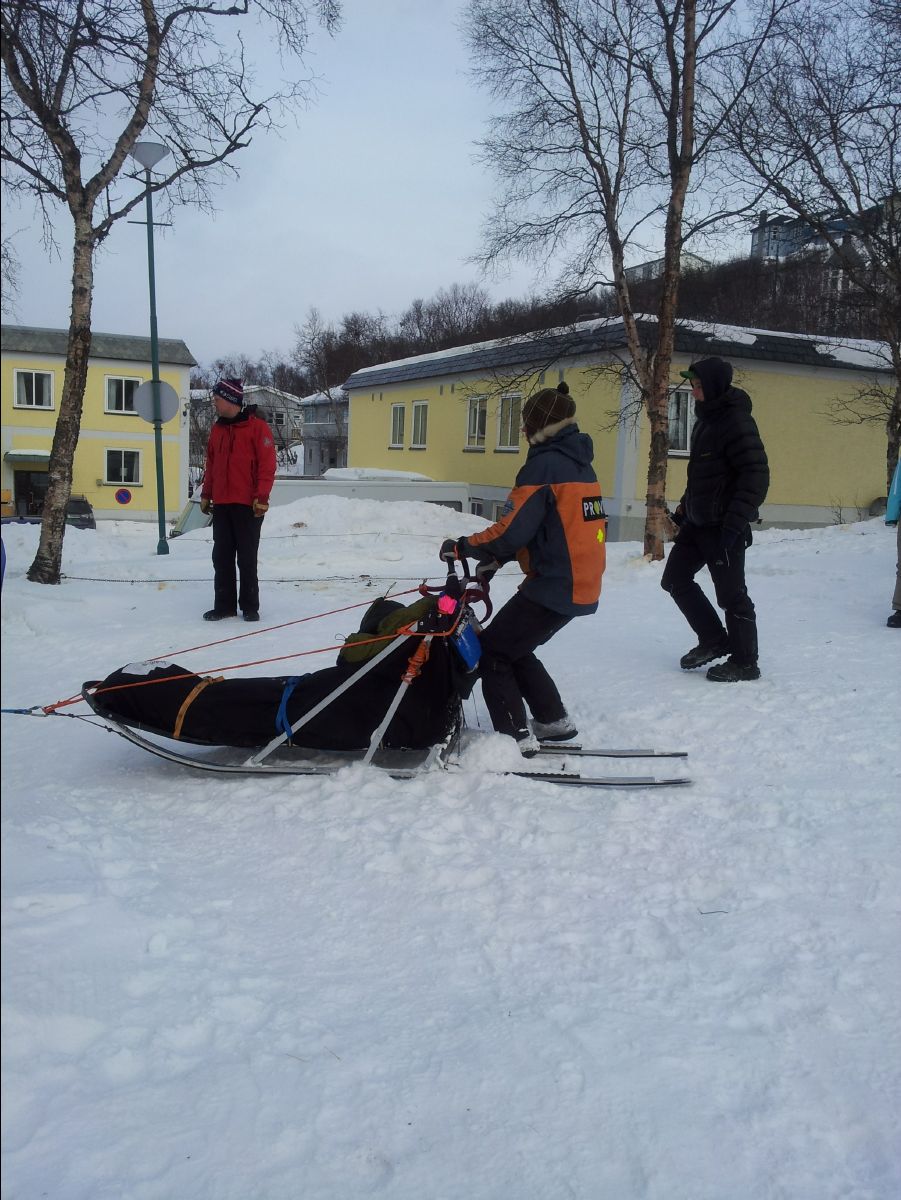Dog Race15